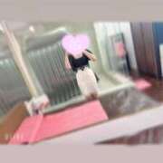 ヒメ日記 2025/10/20 08:51 投稿 まどか【魅惑のエロティック】 LIPS(リップス)