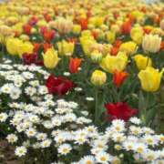 ヒメ日記 2025/04/16 14:38 投稿 るな【色香漂うキレカワ美女】 LIPS(リップス)