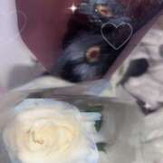 ヒメ日記 2025/10/19 06:47 投稿 るな【色香漂うキレカワ美女】 LIPS(リップス)