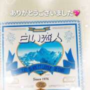 ヒメ日記 2025/12/20 14:49 投稿 佐々木まな 錦糸町アロマエステ ゆめここ-yumecoco-