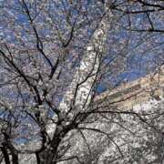 まほ 待ってます 脱がされたい人妻 さいたま大宮店