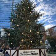 帆乃香 莉緒 12月の予定🎄 横浜貴楼館