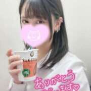 ヒメ日記 2025/04/06 01:23 投稿 神谷きさら THE痴漢電車.com