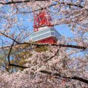 ヒメ日記 2025/03/21 06:23 投稿 せいこ 熟女デリヘル倶楽部