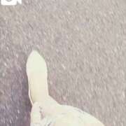 ヒメ日記 2025/08/17 11:33 投稿 しおん 五反田・品川おかあさん