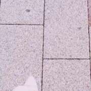 ヒメ日記 2025/09/19 14:13 投稿 しおん 五反田・品川おかあさん