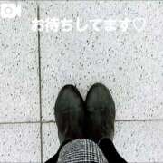 ヒメ日記 2026/02/05 14:13 投稿 しおん 五反田・品川おかあさん