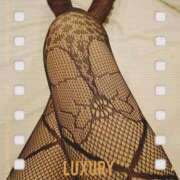 ヒメ日記 2026/02/23 10:15 投稿 しおん 五反田・品川おかあさん