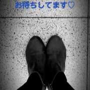 ヒメ日記 2026/02/24 14:33 投稿 しおん 五反田・品川おかあさん