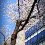 ヒメ日記 2026/03/24 14:13 投稿 しおん 五反田・品川おかあさん