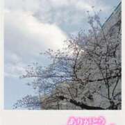 ヒメ日記 2026/03/27 18:23 投稿 しおん 五反田・品川おかあさん