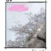 ヒメ日記 2026/03/30 19:53 投稿 しおん 五反田・品川おかあさん
