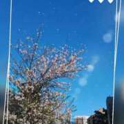 ヒメ日記 2026/04/02 19:13 投稿 しおん 五反田・品川おかあさん