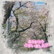 ヒメ日記 2026/04/06 18:43 投稿 しおん 五反田・品川おかあさん