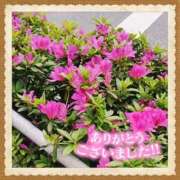 ヒメ日記 2026/04/13 17:33 投稿 しおん 五反田・品川おかあさん