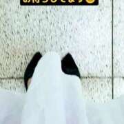 ヒメ日記 2026/09/25 12:23 投稿 しおん 五反田・品川おかあさん
