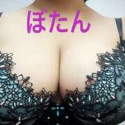 ヒメ日記 2025/01/23 12:49 投稿 ぼたん 木更津人妻花壇