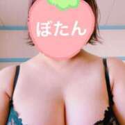 ヒメ日記 2025/02/10 18:08 投稿 ぼたん 木更津人妻花壇