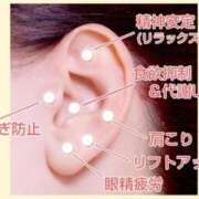 ヒメ日記 2025/02/27 08:14 投稿 ぼたん 木更津人妻花壇