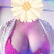 ヒメ日記 2025/04/27 11:51 投稿 ぼたん 木更津人妻花壇