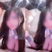 ヒメ日記 2025/07/19 11:10 投稿 ミイ いたずらバニーちゃん