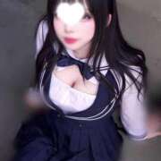 ヒメ日記 2025/08/28 08:50 投稿 ミイ いたずらバニーちゃん