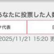 ヒメ日記 2025/11/21 16:20 投稿 ミイ いたずらバニーちゃん