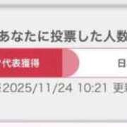 ヒメ日記 2025/11/24 10:30 投稿 ミイ いたずらバニーちゃん