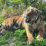 ヒメ日記 2025/03/15 22:39 投稿 いろは 多治見・土岐・春日井ちゃんこ