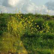 ヒメ日記 2025/03/21 11:59 投稿 いろは 多治見・土岐・春日井ちゃんこ