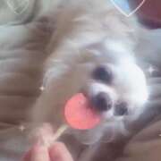 ヒメ日記 2025/06/23 10:53 投稿 かのん チアガール