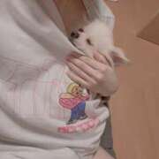 ヒメ日記 2025/11/06 09:00 投稿 かのん チアガール