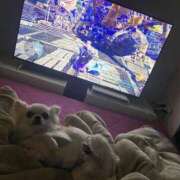 ヒメ日記 2026/01/29 13:29 投稿 かのん チアガール