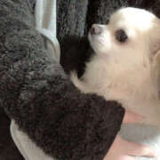 ヒメ日記 2026/02/12 08:30 投稿 かのん チアガール