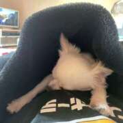 ヒメ日記 2026/03/05 10:23 投稿 かのん チアガール