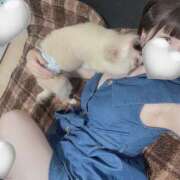 ヒメ日記 2026/03/20 23:33 投稿 かのん チアガール