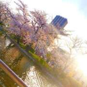 ヒメ日記 2026/04/21 09:14 投稿 かのん チアガール