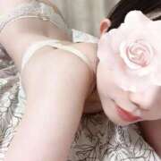 ヒメ日記 2025/06/11 15:23 投稿 くれあ ていくぷらいど.学園