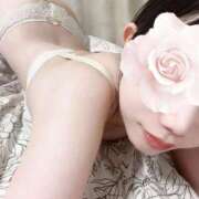 ヒメ日記 2025/08/31 16:18 投稿 くれあ ていくぷらいど.学園