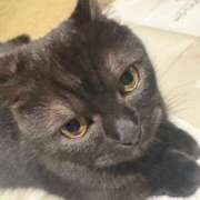 ヒメ日記 2025/03/23 10:18 投稿 ゆい お姉京都