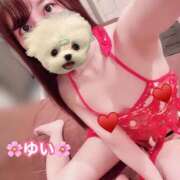 ヒメ日記 2025/04/07 23:22 投稿 ゆい お姉京都