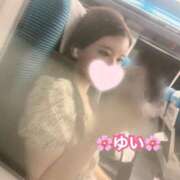 ヒメ日記 2025/04/20 06:15 投稿 ゆい お姉京都