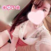 ヒメ日記 2025/05/01 12:03 投稿 ゆい お姉京都