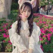 ヒメ日記 2025/05/19 12:05 投稿 ほしな☆最強清楚系美女！ Hills Premier