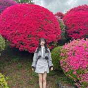 ヒメ日記 2025/06/13 23:20 投稿 ほしな☆最強清楚系美女！ Hills Premier