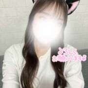 ヒメ日記 2025/03/27 19:09 投稿 もも 155