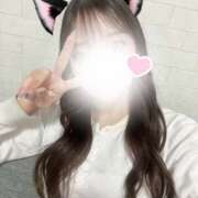 ヒメ日記 2025/03/28 17:26 投稿 もも 155