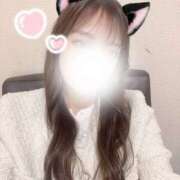 ヒメ日記 2025/04/07 16:06 投稿 もも 155