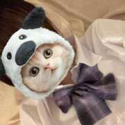 ヒメ日記 2025/03/12 21:20 投稿 なの 池袋マリン別館