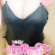 ヒメ日記 2025/06/15 08:44 投稿 六本木ちはや 日暮里ド淫乱倶楽部